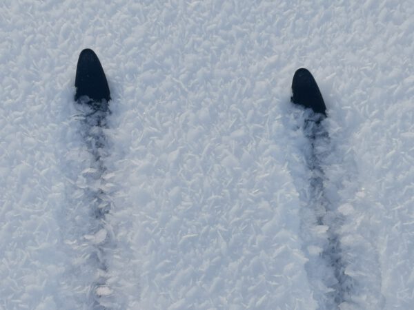 Fjellski für Wintertouren mit Pulka
