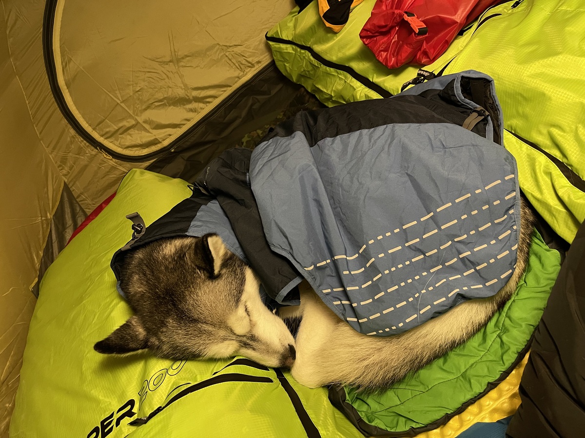 Auch wenn ein großer Hund im Zelt viel Platz einnimmt, ist es so oft unkomplizierter als auf einer Hütte zu nächtigen.