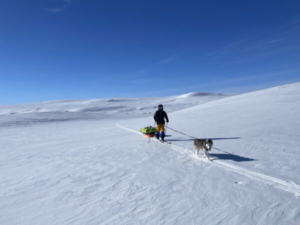 Wintertour mit Hund