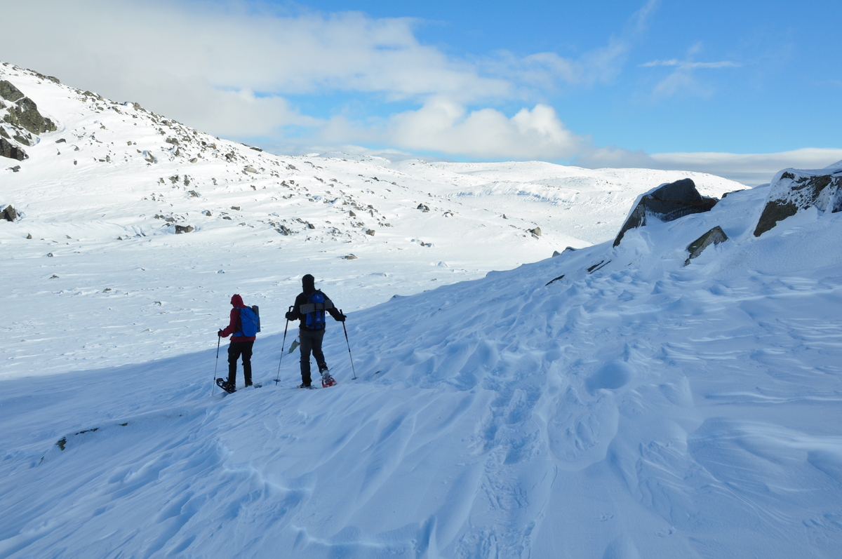 Ski oder Schneeschuhe? In diesem Gebiet spielen Schneeschuhe ihre Stärke aus (Foto: Lutz Grünke)