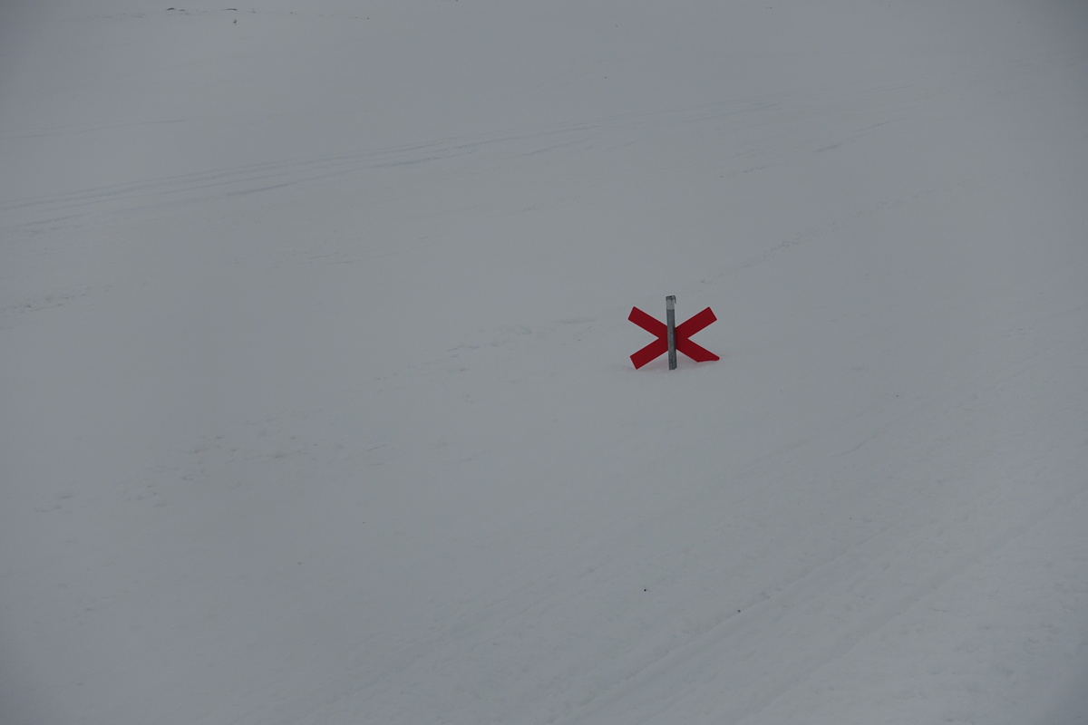 Die schwedischen Wintermarkierungen stehen auf zwei Meter hohen Stangen (Foto: Malte Hübner)