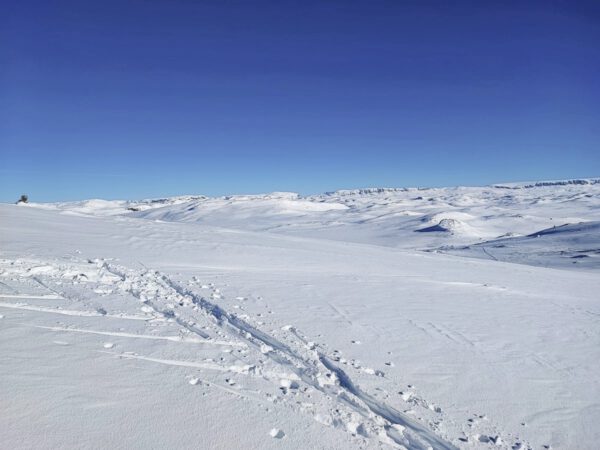 Besser bergauf mit Steigfellen für Ski