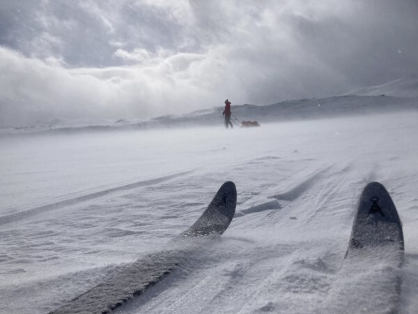 Durchquerung der Hardangervidda im Winter – Toursteckbrief
